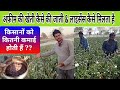 afim ki kheti full information अफीम की खेती की पूरी जानकारी - Agritech Guruji