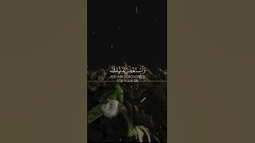 فاصبر ان وعد الله حق | الشيخ عبد الباسط عبد الصمد حالات واتس اب دينية قصيرة قران كريم
