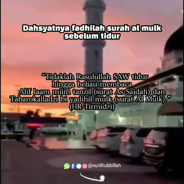 Keutamaan Surah Al Mulk Sebelum Tidur || story wa