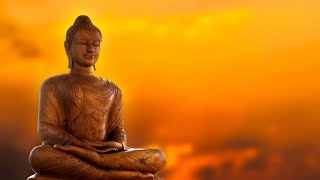 Những Lời Phật Dạy - Phóng Sanh Được Phước Báu
