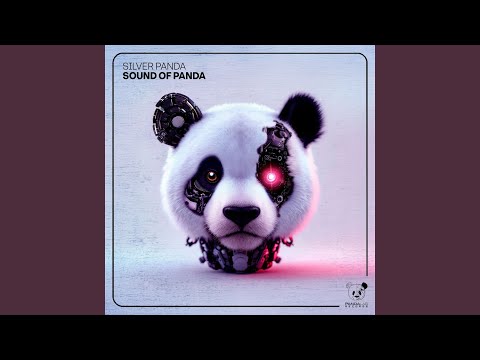 Sound Of Panda Extended Mix