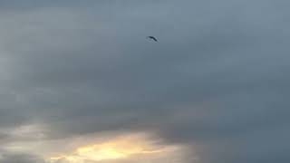 8 May 2026 - morning sky - Bristol - UK (18 minutes) #sky #morning #video 
