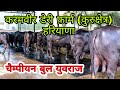पहली बार देखिए आपके चैनल पर चैंपियन युवराज और पार्वती का पूरा परिवार.Karmveer Dairy Farm(Sunariya)