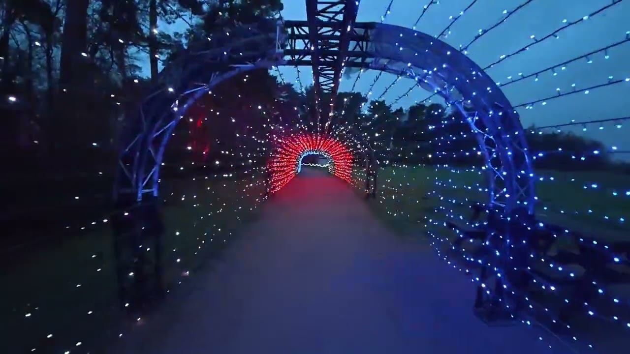 Luminate at Coombe Abbey ✨🌿 | Magical Night Light Walk | Indian Family in UK 🇬🇧🇮🇳