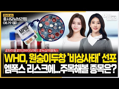 ㅣ#<strong>엠폭스</strong> #원숭이두창 #파미셀 주목!ㅣ[#모닝브리핑]ㅣ한국경제TVㅣ머니플러스