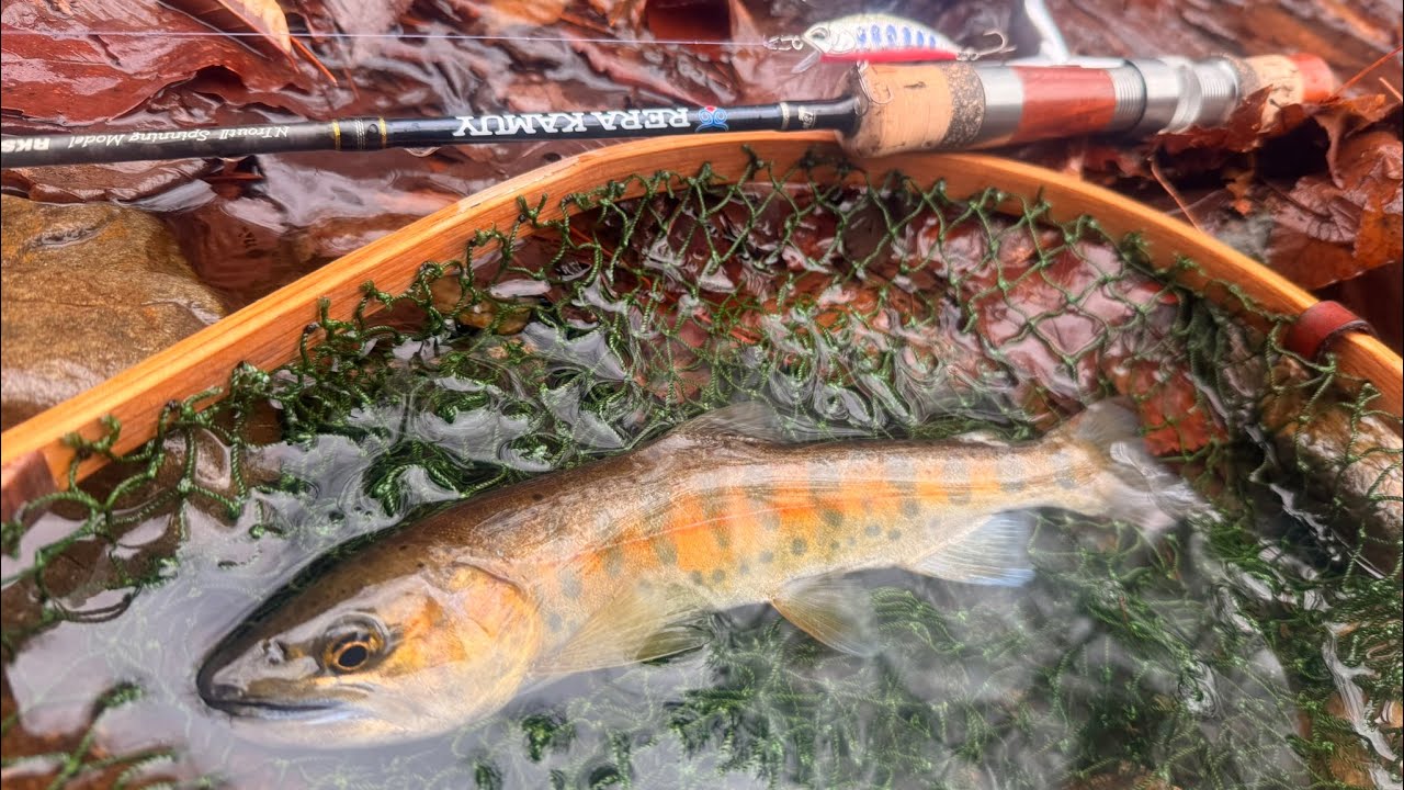 越冬ヤマメを求めて