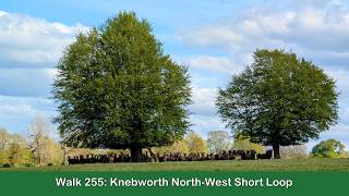 Walk 255: Knebworth North-West Short Loop