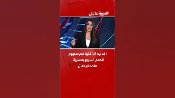 أ ف ب 19 قتيلا في هجوم للدعم السريع بمسي رة على كردفان 