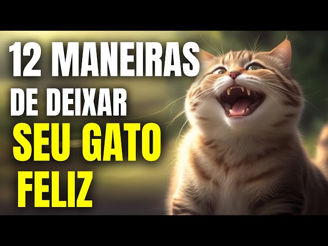 Que isso meu filho?! Calma! @jansencat #gato #vaidarnamoro #horadofaro