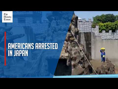 Video Japan arrests Americans over stunt at baby monkey Punch's zoo