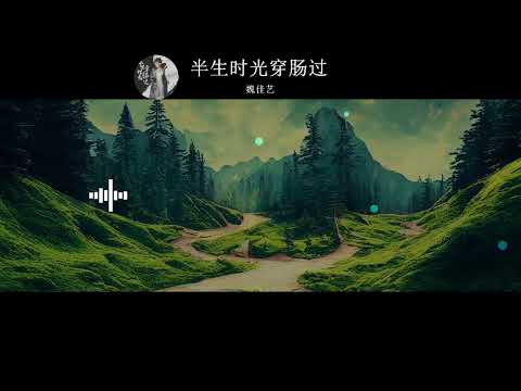 2023華語網絡流行音樂 ||《半生時光穿腸過》|| 魏佳藝 || 動態歌詞
