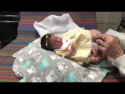 reborn dolls that eat and poop for sale