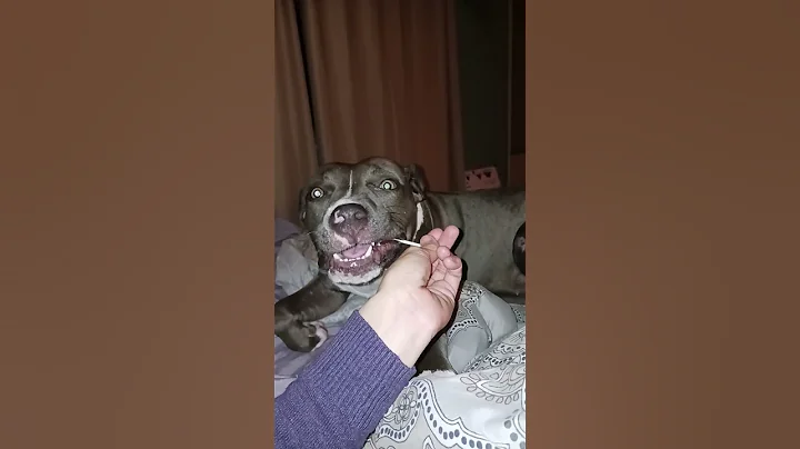 blue nose baby girl