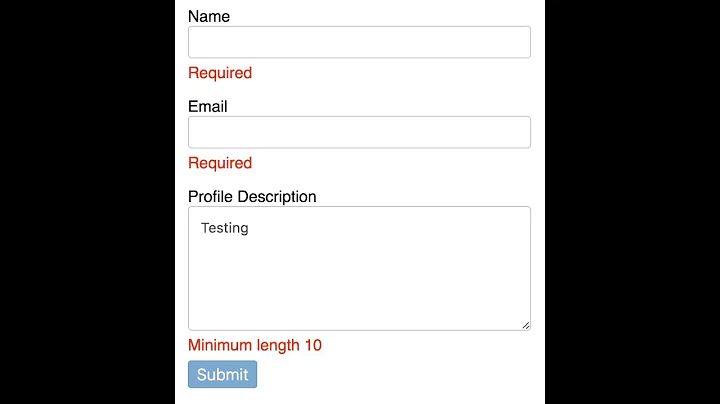 Angular 11 Validate Form