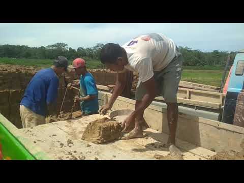 Video: Varnis Untuk Batu Bata: Pilihan Untuk Komposisi Untuk Dapur Batu Dan Jubin Gipsum, Ciri-ciri Bahan 