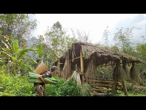 What will life be like for the poor old man without a place to live? Will he find a place to hide?
