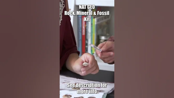 Rock, Mineral & Fossil Kit NATIONAL GEOGRAPHIC #Shorts