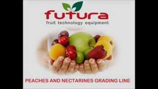 Peaches Grading Line - Lateral Discharge