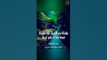 هَٰذَا خَلْقُ اللَّهِ بصوت القارئ إسلام صبحي | حالات واتس اب دينية | أيات تريح النفس | Islam Sobhi
