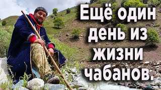 Еще один день из жизни чабанов в горах Таджикистана. По следам аборигенных волкодавов.