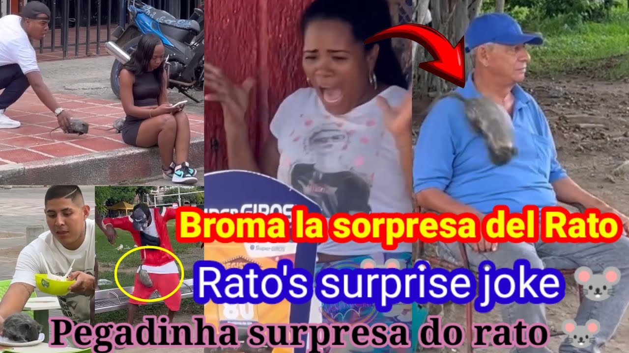 Broma la sorpresa del Rato 🐭 🐁/ Pegadinha surpresa do rato 🐭/ Rato's surprise joke 🐭 🐁