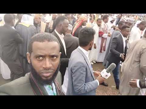 Nashiidaa Iida Bara 1446 Magaalaa Finfinnee Itoophiyaa