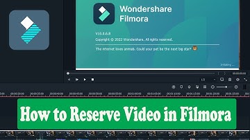 How to Reverse Video In Filmora 11 ?
