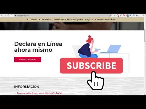 Declaracion Patrimonial 2020