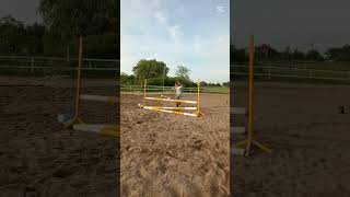 #hobbyhorse #hh #horse #equestrian #stable #shorts #dlaciebie #wbijesie #poland #horseriding #pony