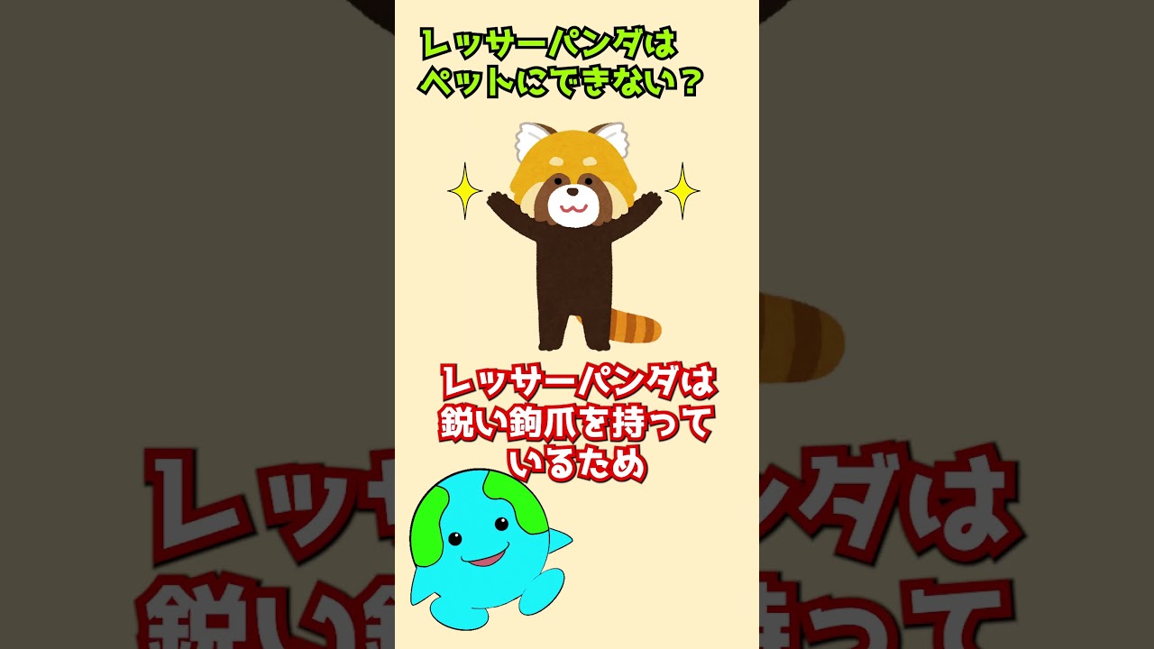ペットにできない動物【レッサーパンダ】 #shorts