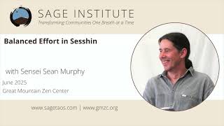 Balanced Effort in Sesshin
