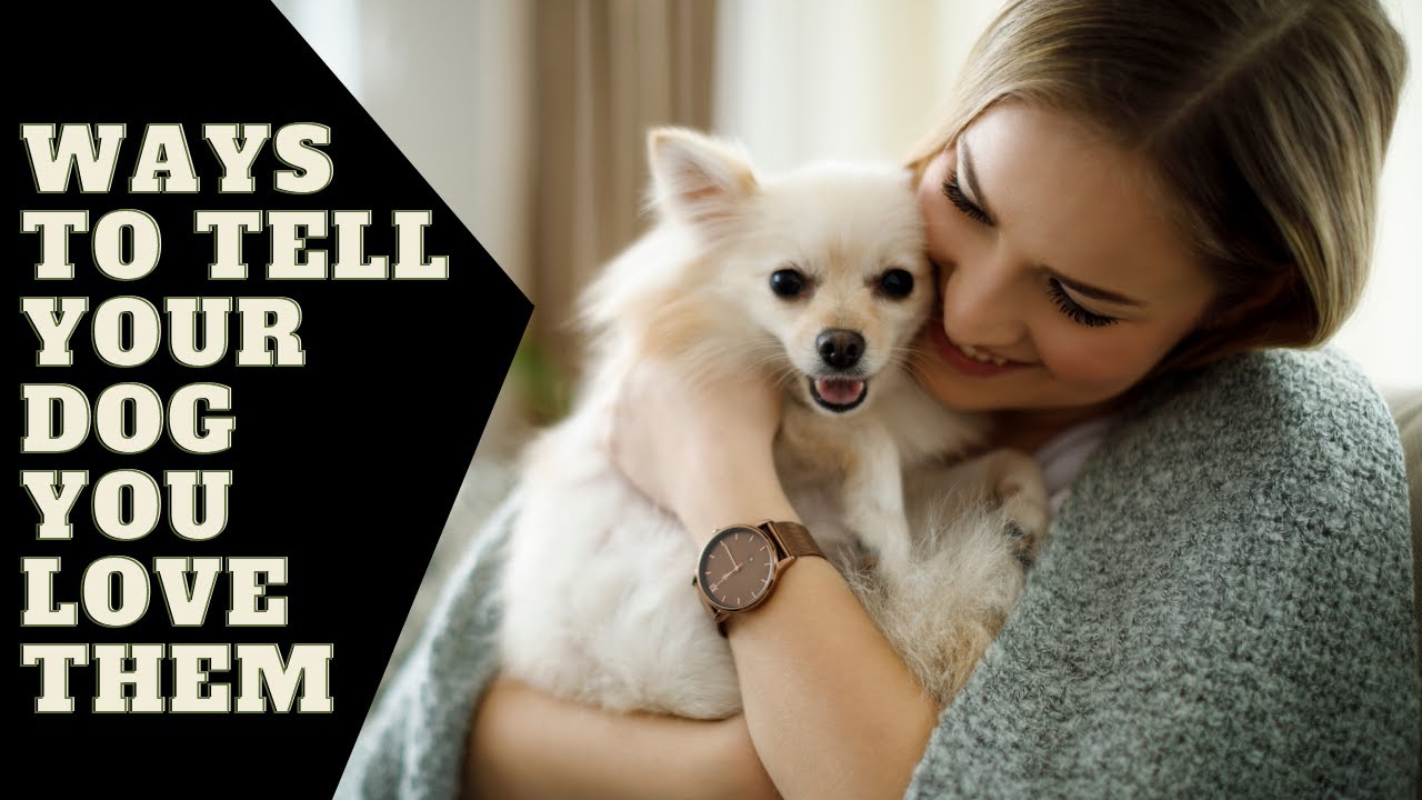 8 Ways To Tell Your Dog You Love Them - YouTube