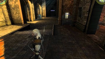 The Witcher - Enhanced Edition (PC) - Completist Run - Part 6 (Act II - Part 2)