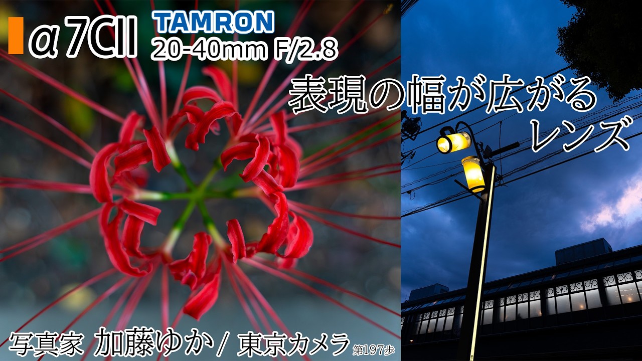 a7CII] Snapshots with the ultra-wide-angle zoom TAMRON 20-40mm F