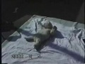なかなか起きられないよ～