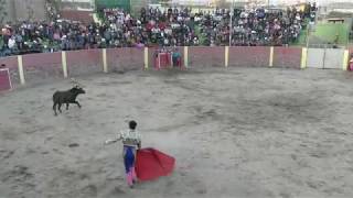 TORO BRAVO EN AREQUIPA, PERÚ (CORRIDA 2019)