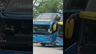 What the hellll 🤯🤯 #gakmasukakal #shorts #bismillahfyp #busmania #youtuberpemula screenshot 4