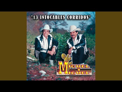 Caballo De Patas Blancas