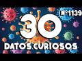 30 DATOS CURIOSOS y COSAS QUE NO SABÍAS ⏰😲 1139 #curiomaníatv