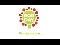 Bog day peatlands are film