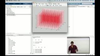 Lecture: Vectorized Time-step Integrators