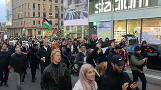 Vapaan Palestiinan puolesta