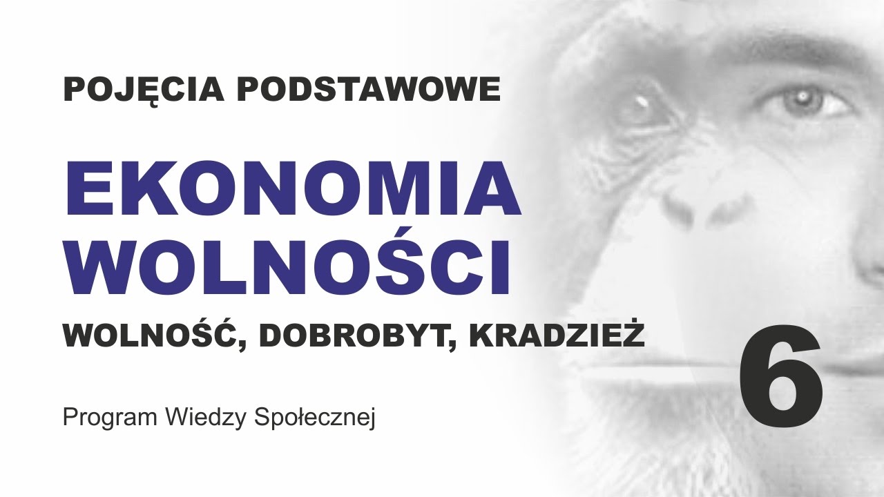 EKONOMIA WOLNOŚCI – POJĘCIA PODSTAWOWE CZ. 6 — Transcript