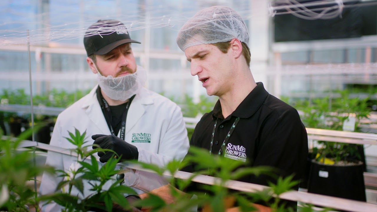 SunMed Growers - We Believe