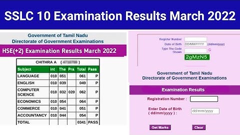 how to check sslc result 2022 in tamilnadu | check 10th result online