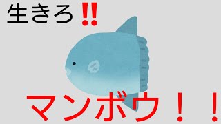 生きろ‼️ マンボウ！！ 〜三億匹の仲間はみな死んだ〜 screenshot 5