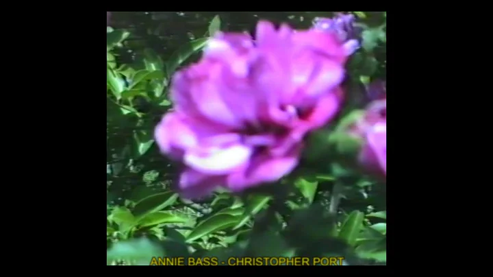 Annie Bass & Christopher Port  Counting All (Offic...