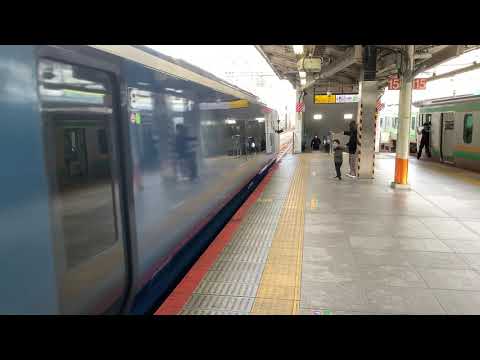 サフィール踊り子1号横浜駅入線