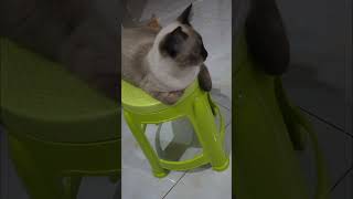 0613 03 1749796799169