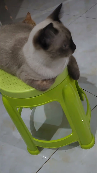 0613 03 1749796799169